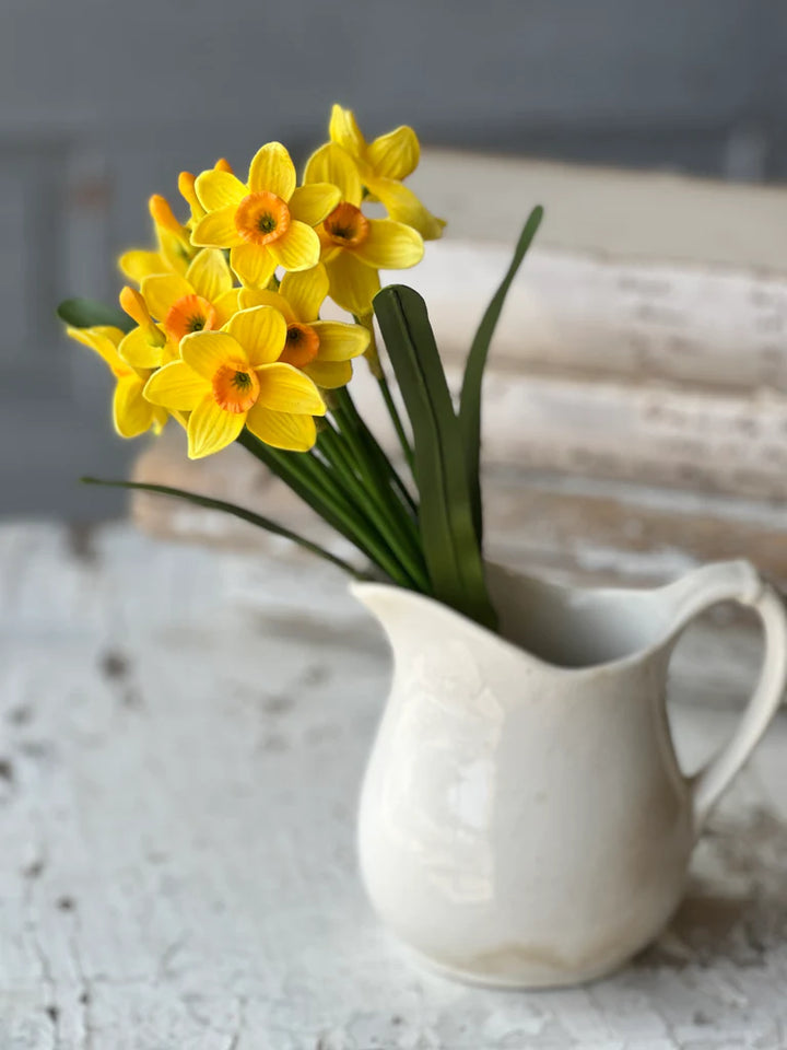 Buttercup Bundle - Yellow, 11"