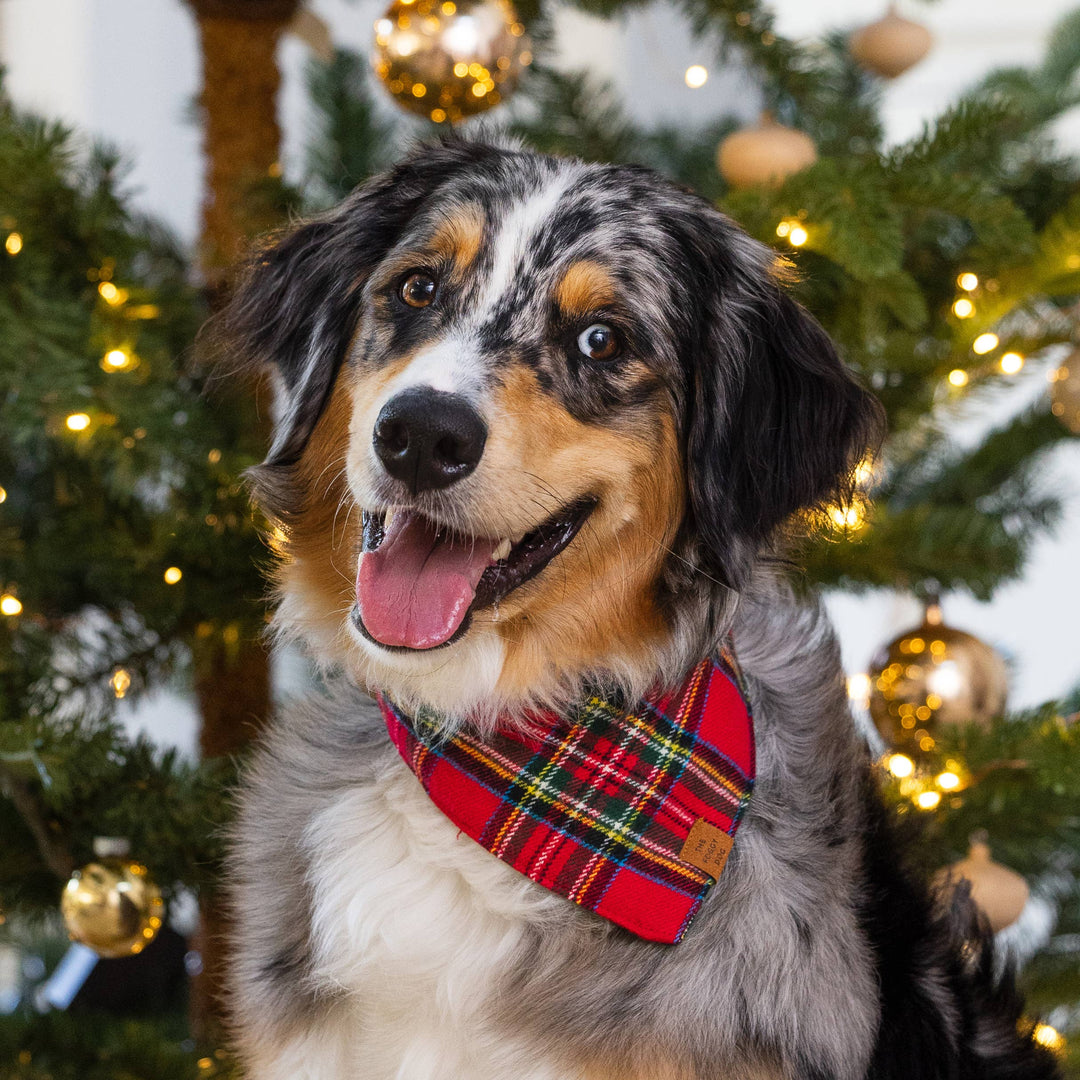 Foggy Dog 'Tartan Plaid' Flannel Holiday Dog Bandana