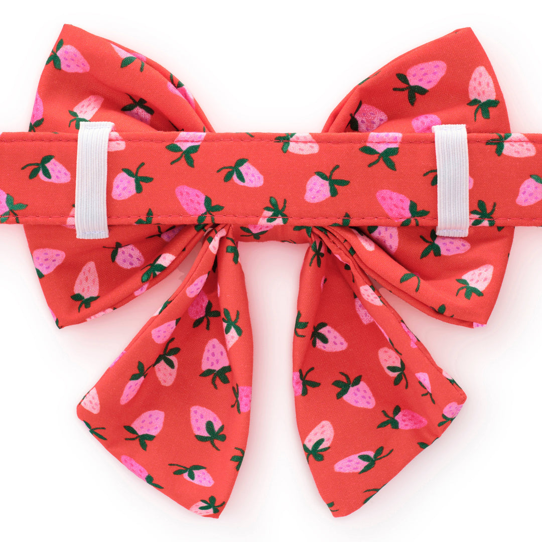 Berry Sweet Valentine's Day Lady Dog Bow