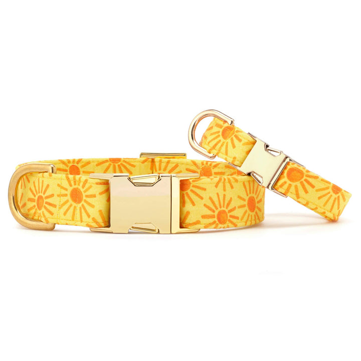 Here Comes the Sun Dog Collar
