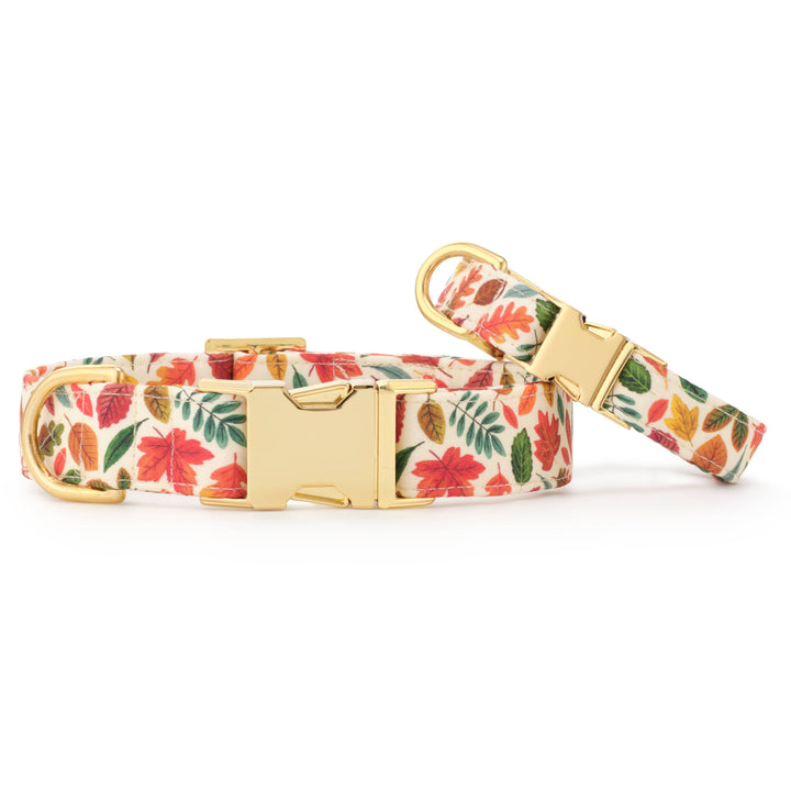 Falling Leaves Dog Collar