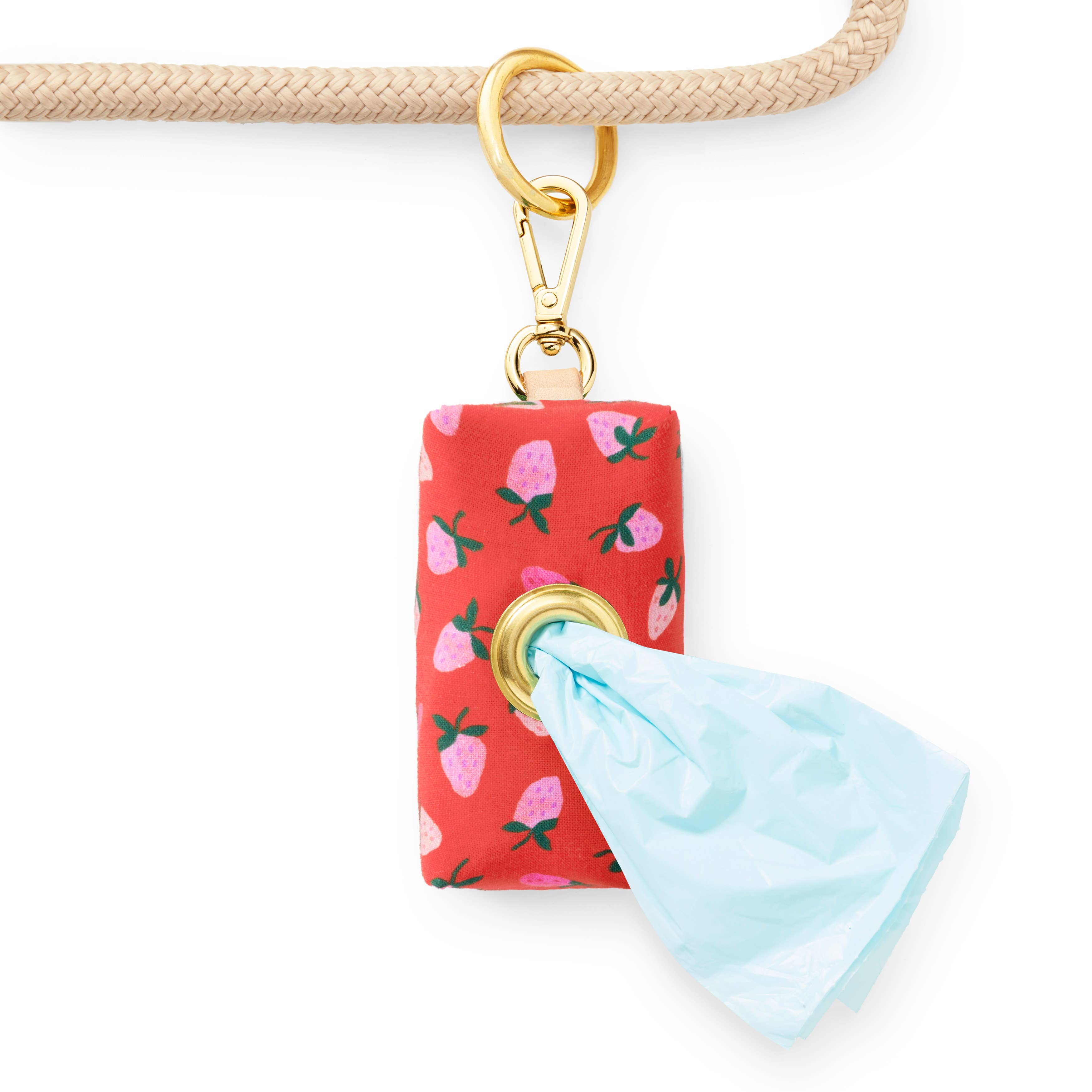 Berry Sweet Valentine's Day Poop Bag Dispenser