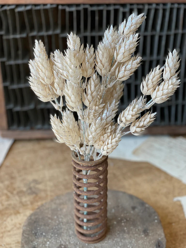 Pearl Hops Bush - 14"