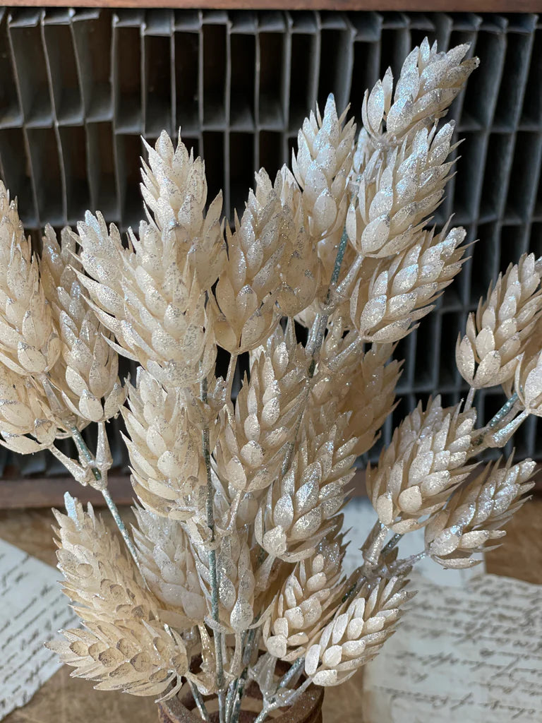 Pearl Hops Bush - 14"