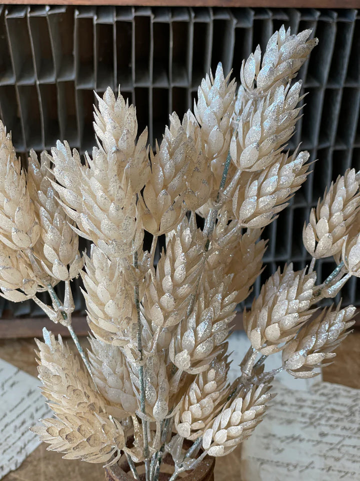 Pearl Hops Bush - 14"