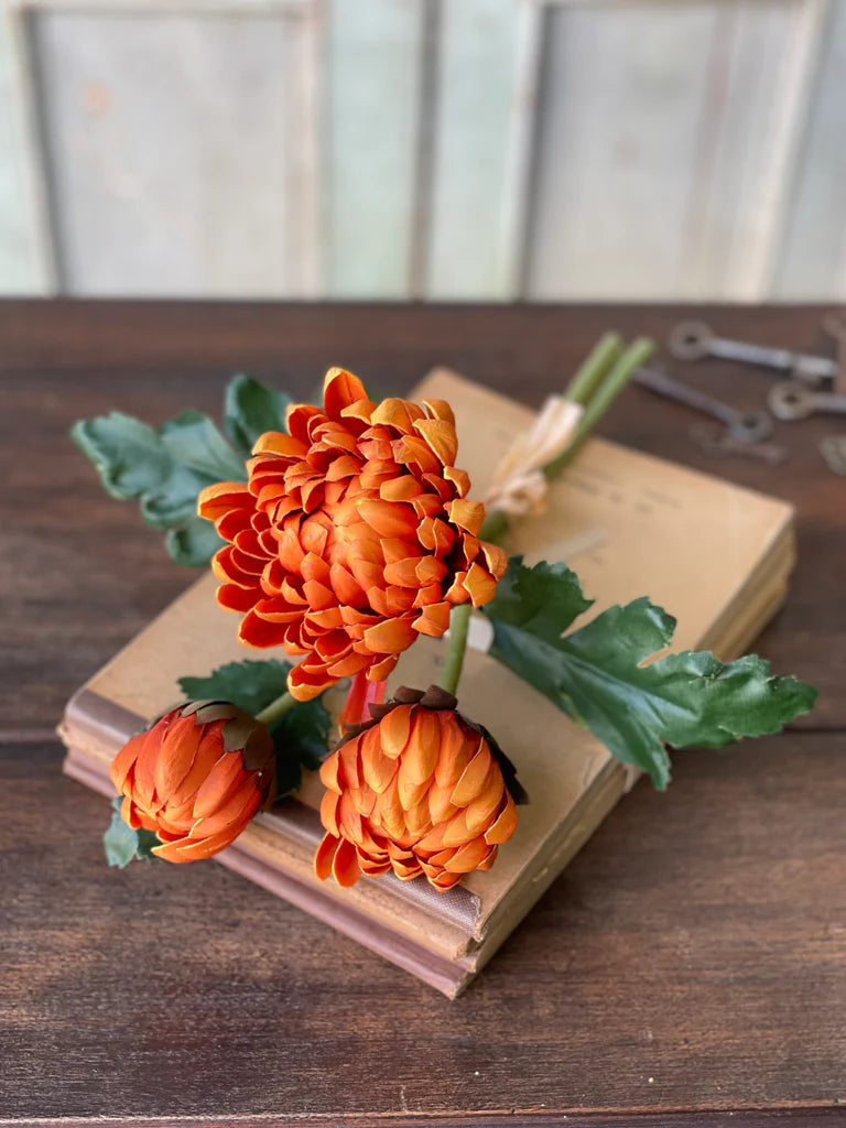 Heirloom Mums, Sandstone - 13"