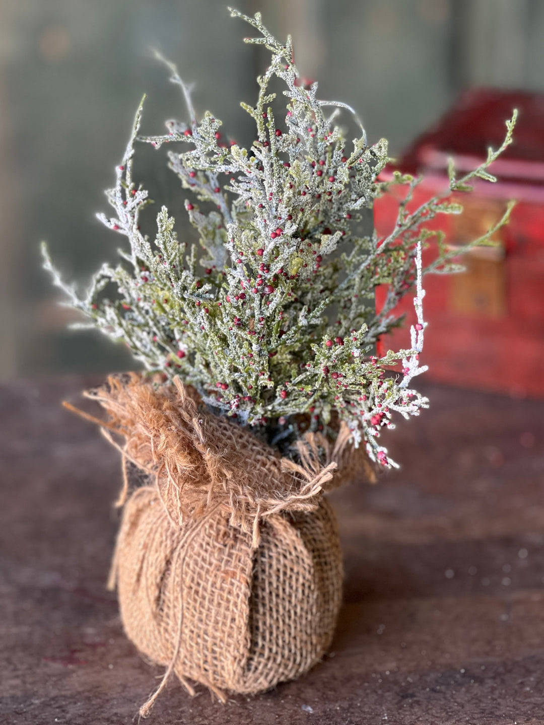 Snowy Cedar and Berries Sapling - 9"