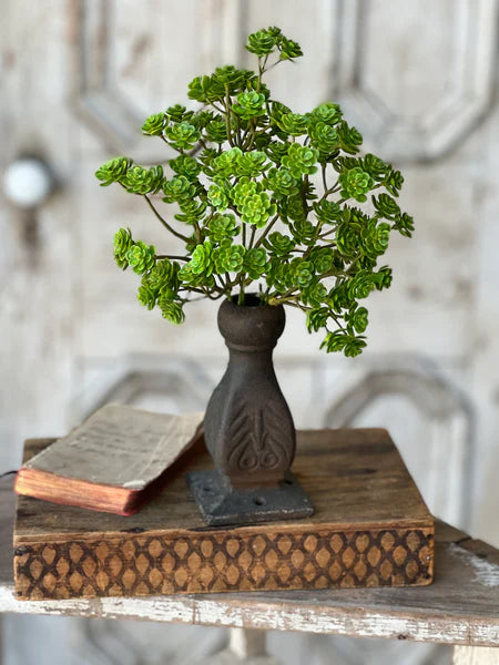 Mini Stonecrop Bush - 14"