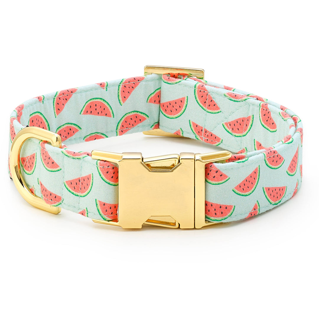 One in a Melon Summer Dog Collar