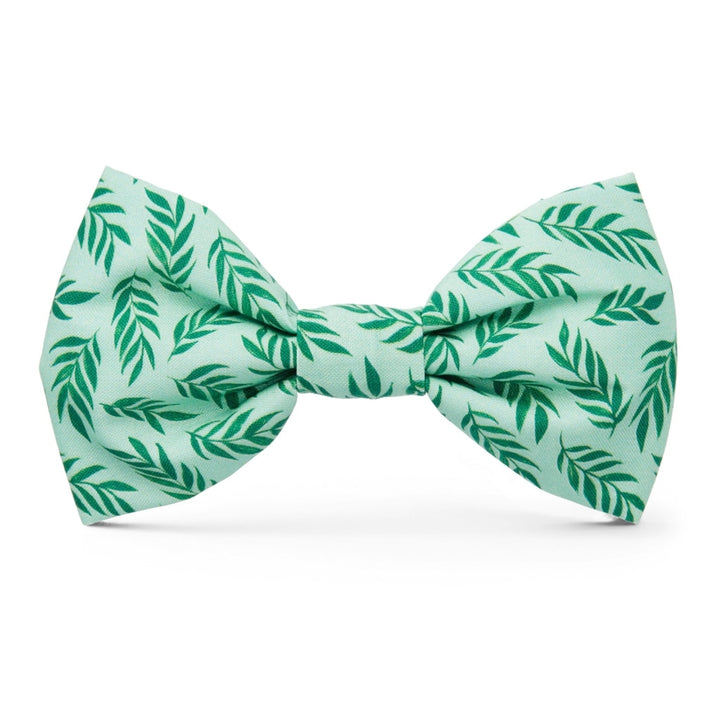 Dog Bow Tie