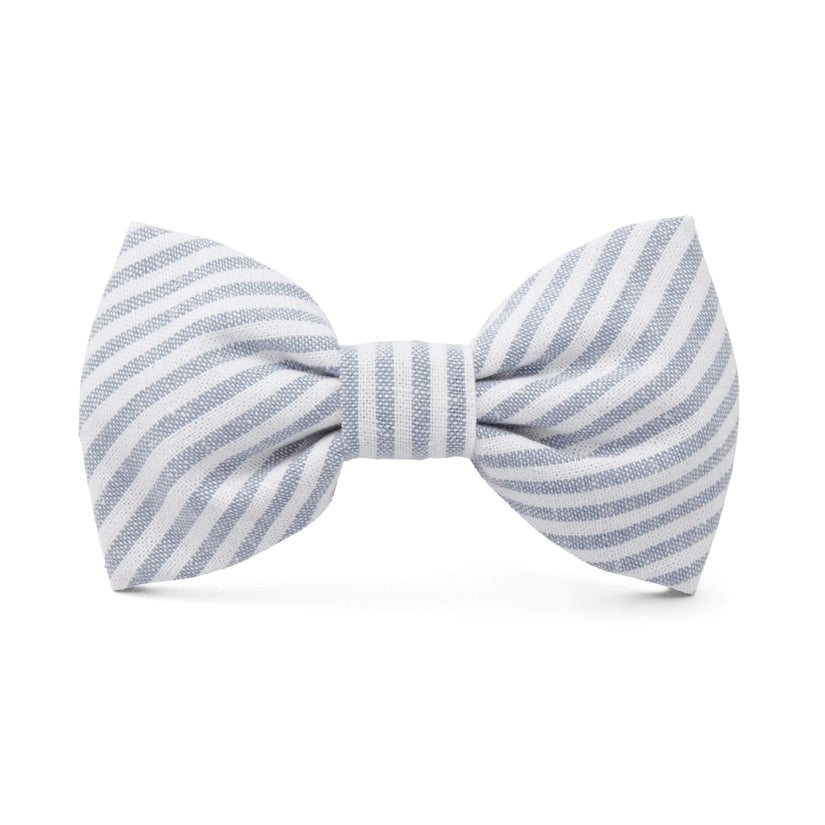 Dog Bow Tie