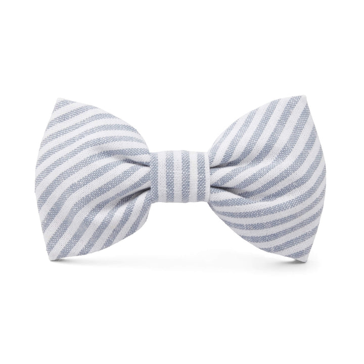 Dog Bow Tie