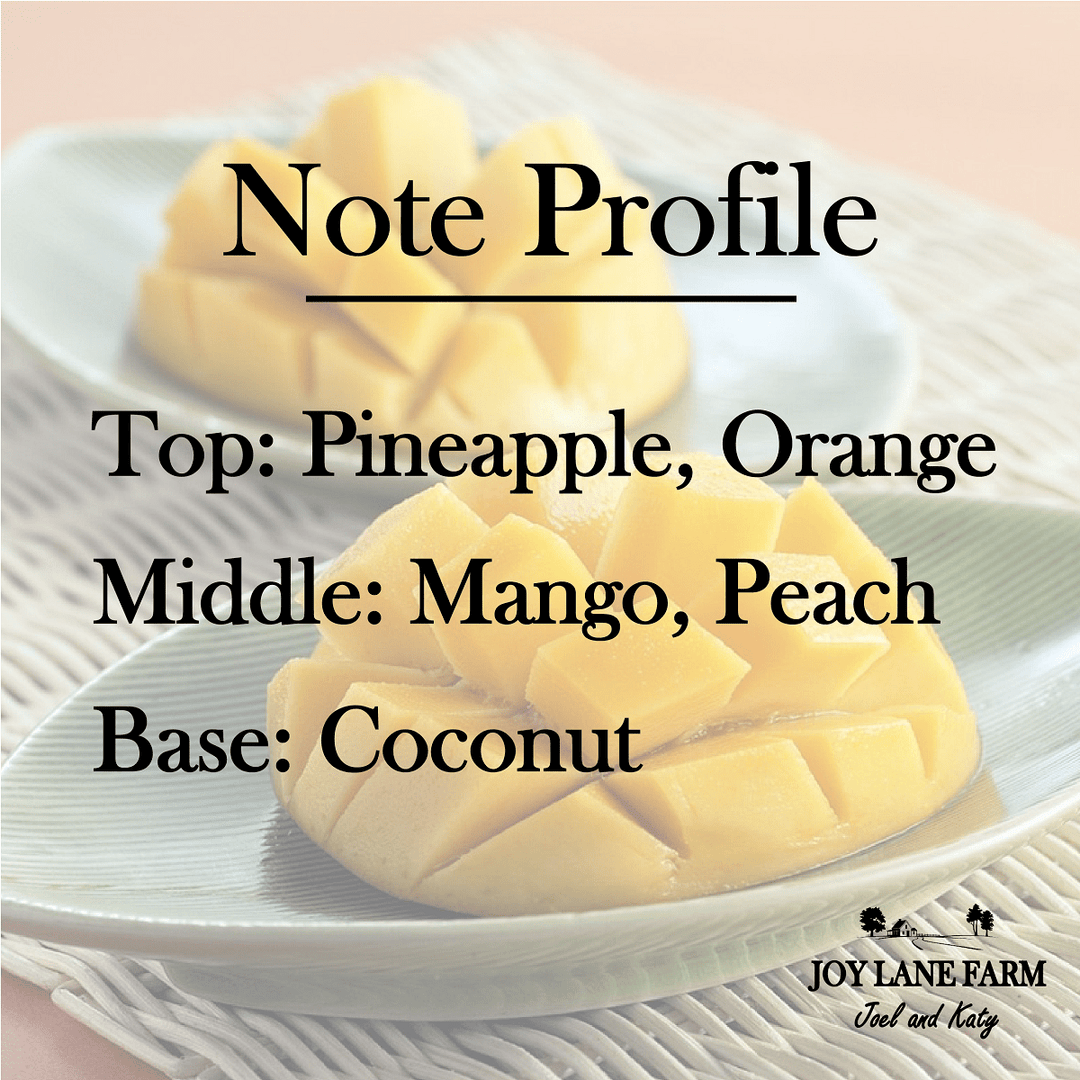 Home in the Tropics Ceramic Candle