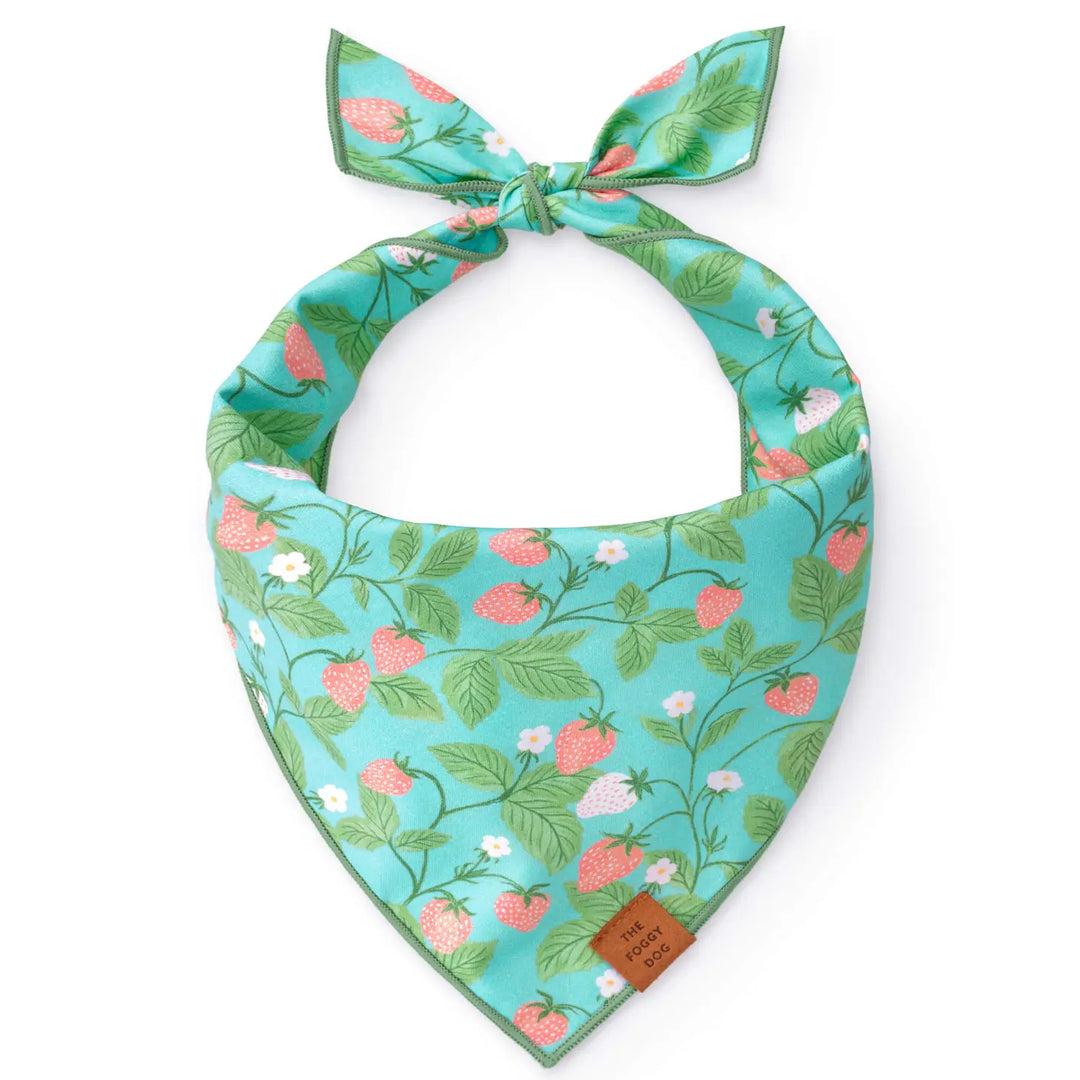 Foggy Dog 'Berry Patch' Spring Dog Bandana