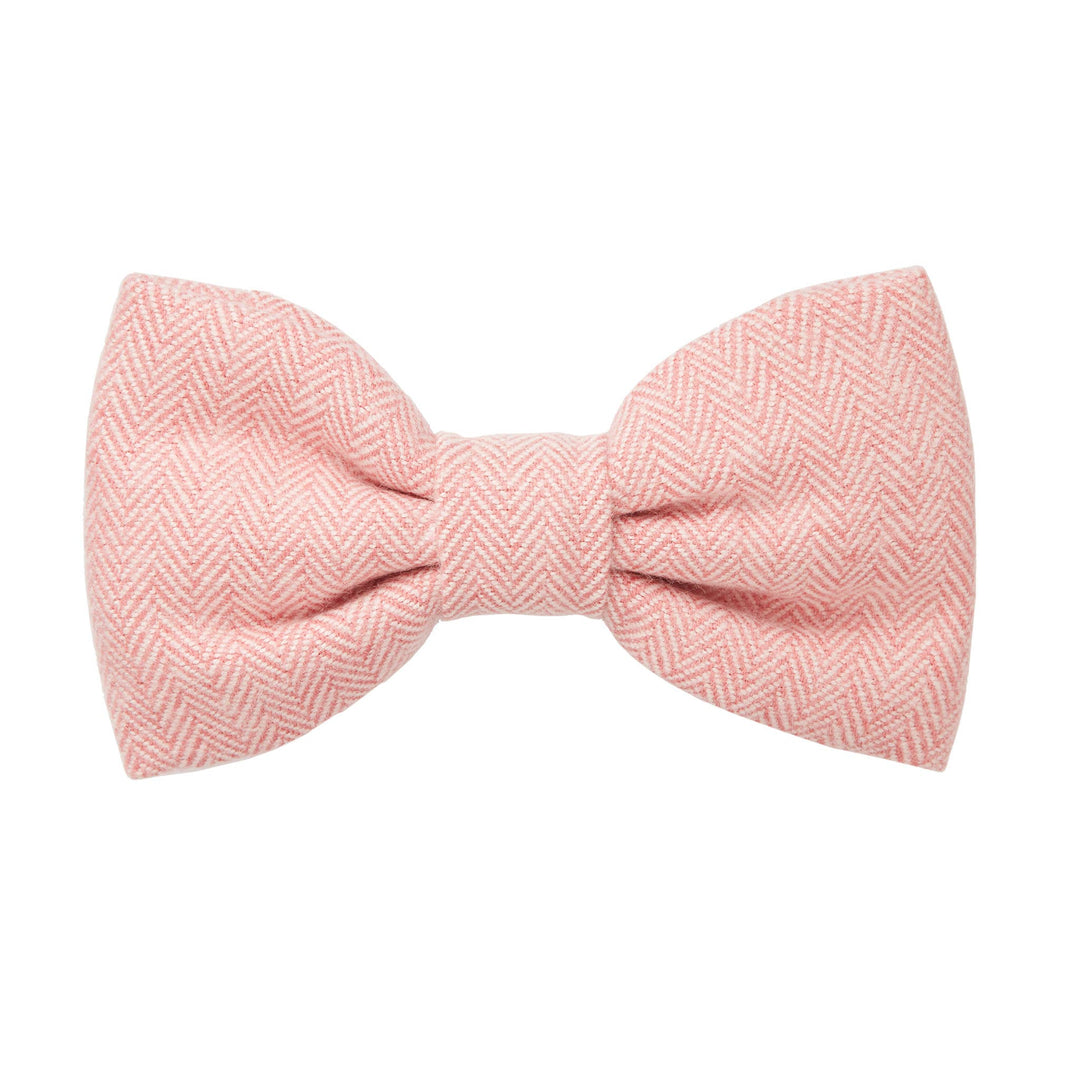 Dog Bow Tie
