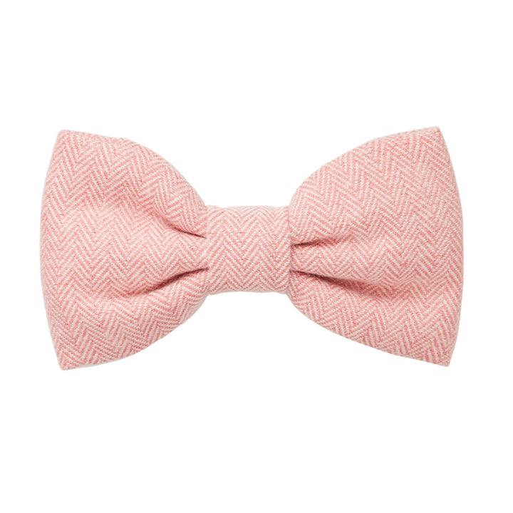 Dog Bow Tie