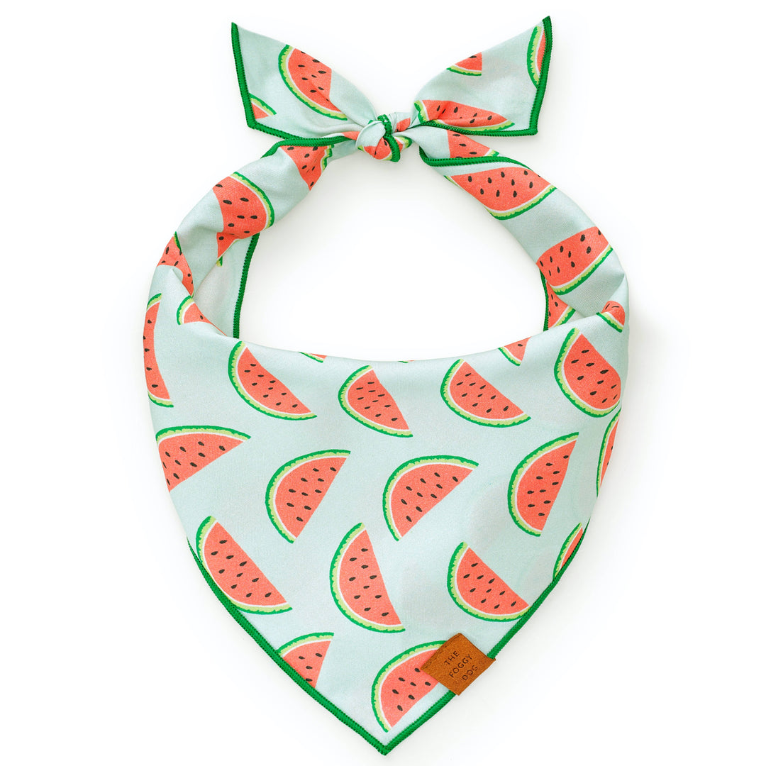 One in a Melon Summer Dog Bandana
