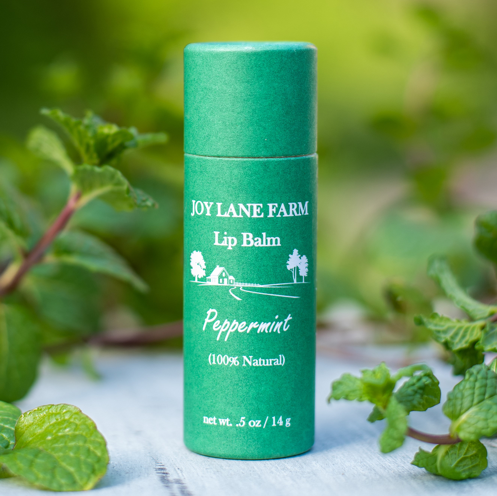 Peppermint - Cardboard Lip Balm, Ecofriendly Natural