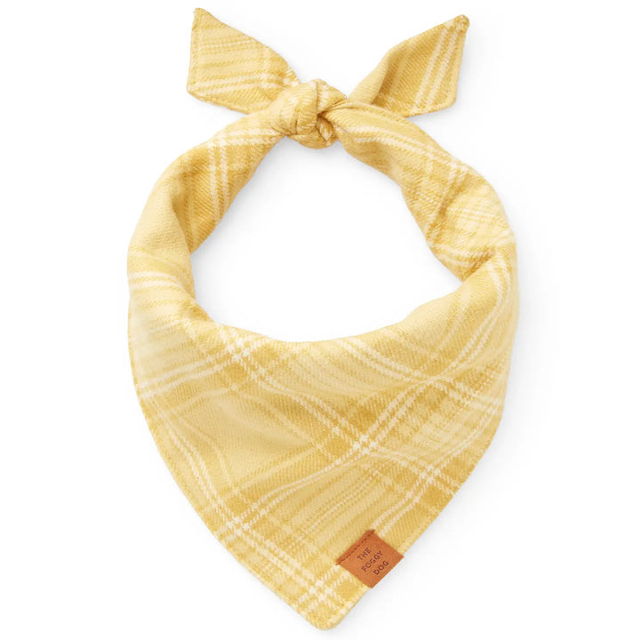 Foggy Dog Bandana