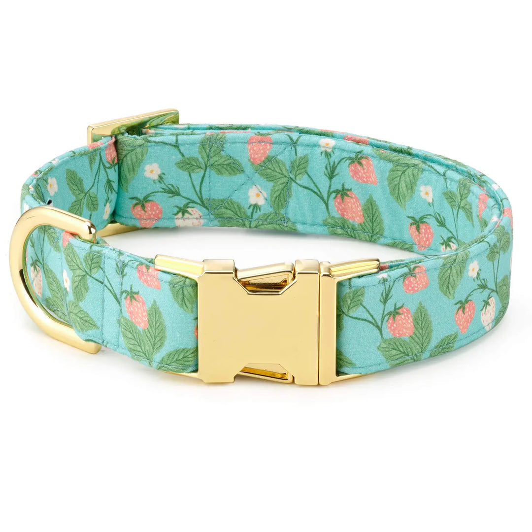 Foggy Dog 'Berry Patch' Spring Dog Collar
