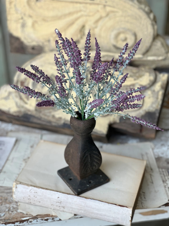 Lavender Bigsby Bush