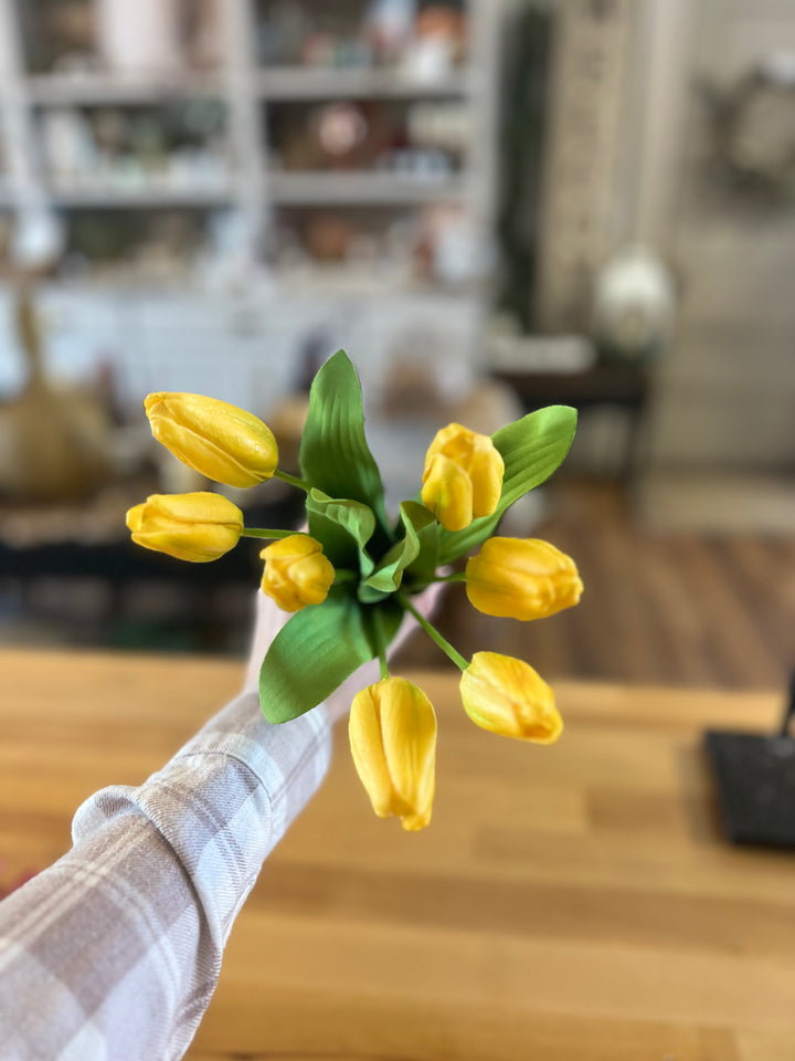 Yellow Tulip Bundle