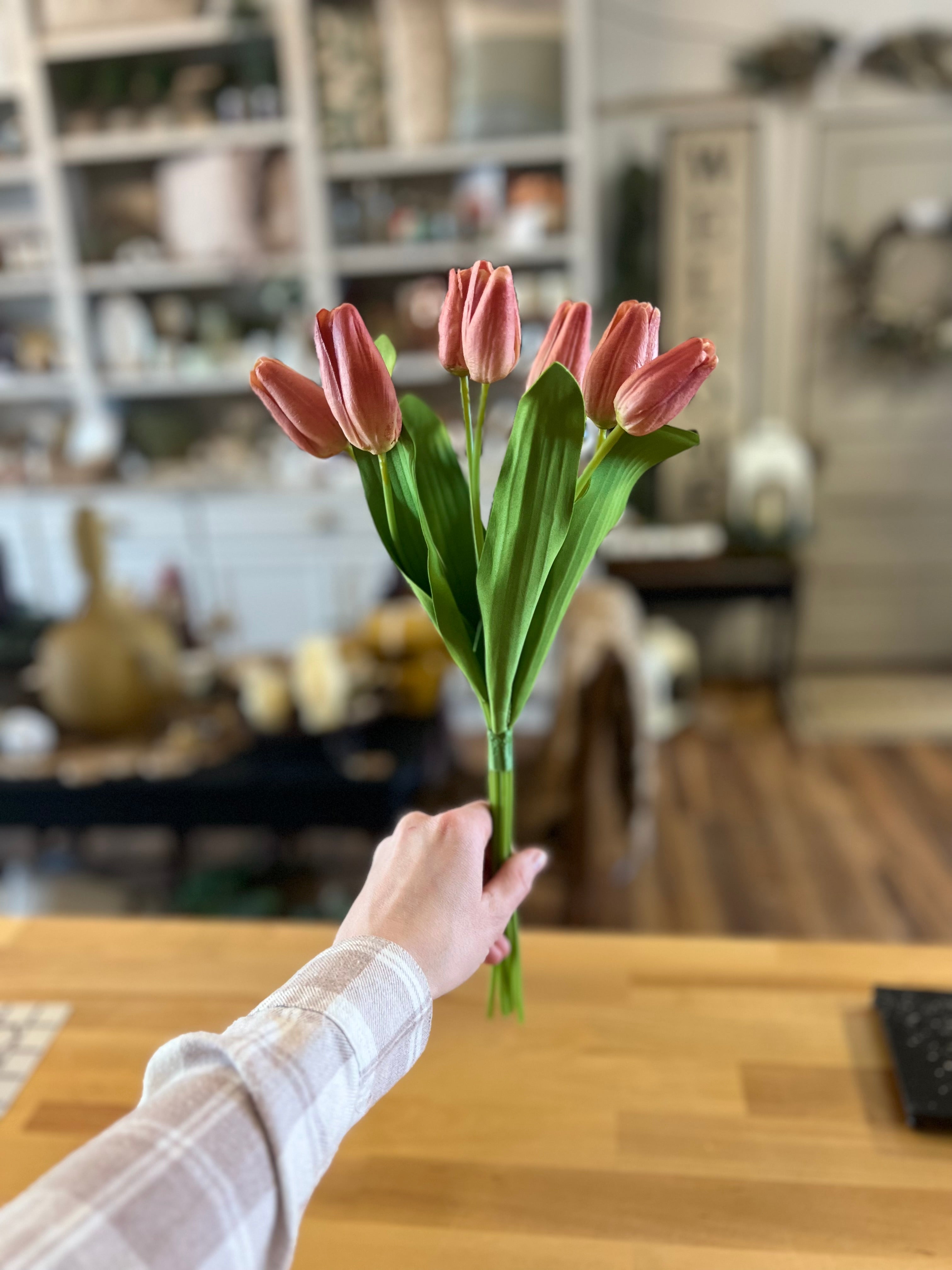 Pink Tulip Bundle
