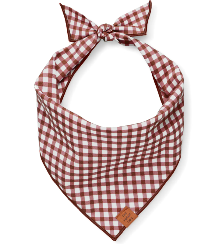 Foggy Dog Bandana