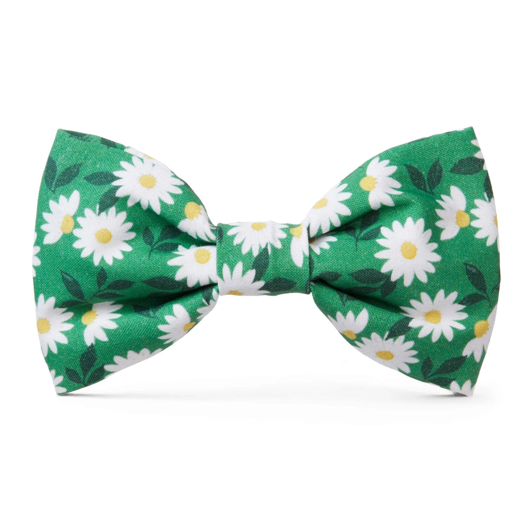 Dog Bow Tie