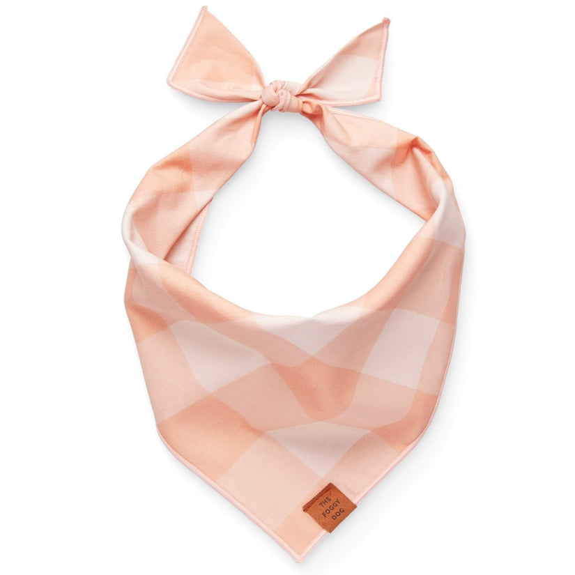Foggy Dog Bandana