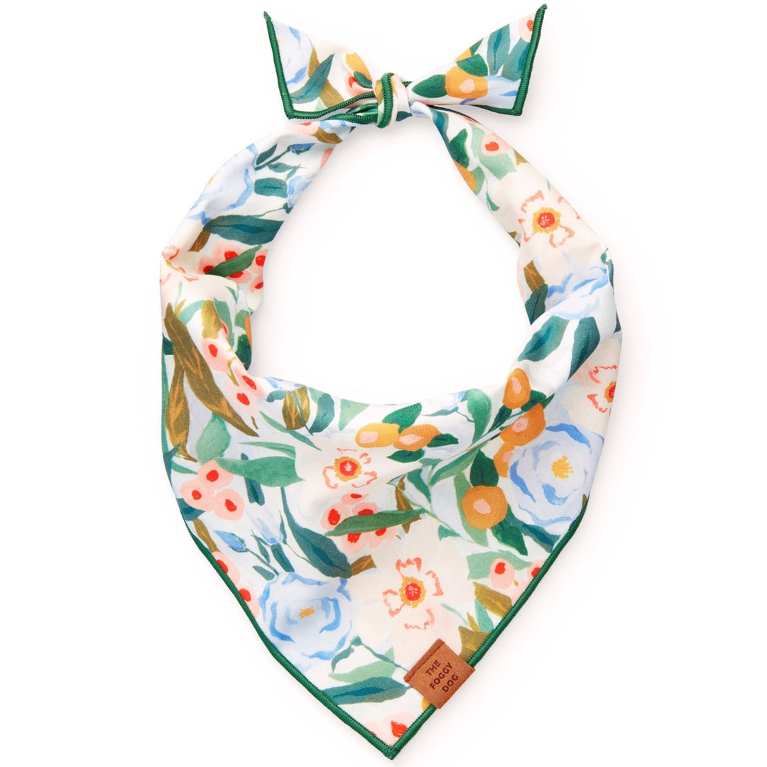Foggy Dog Bandana