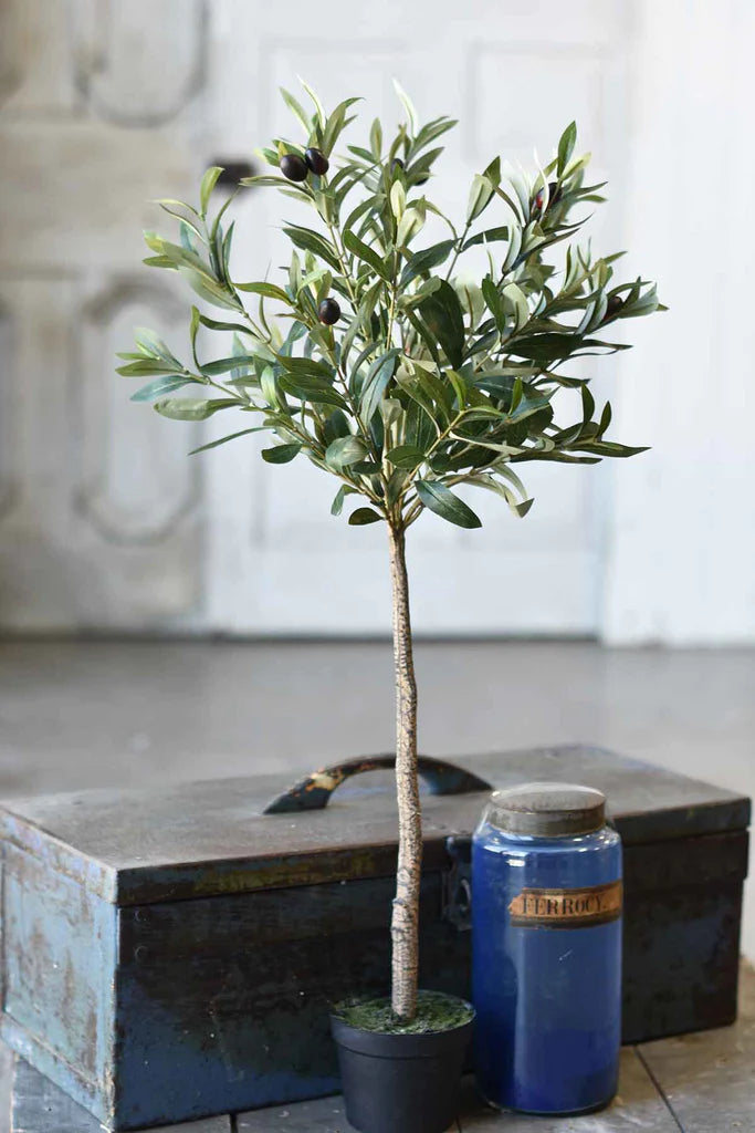 Potted Olive Tree - 32"