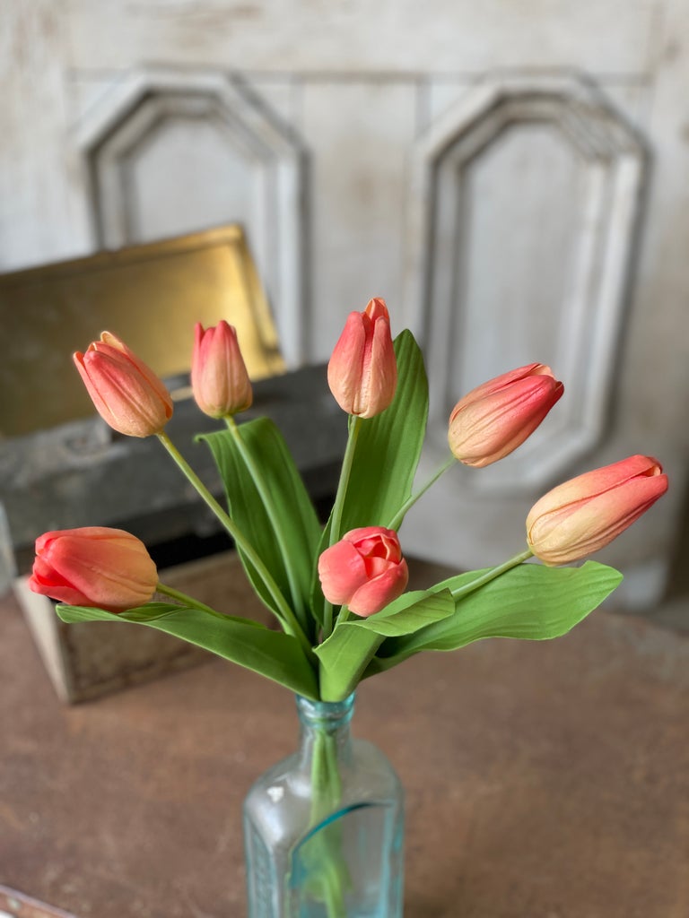 Peach Tulip Bundle