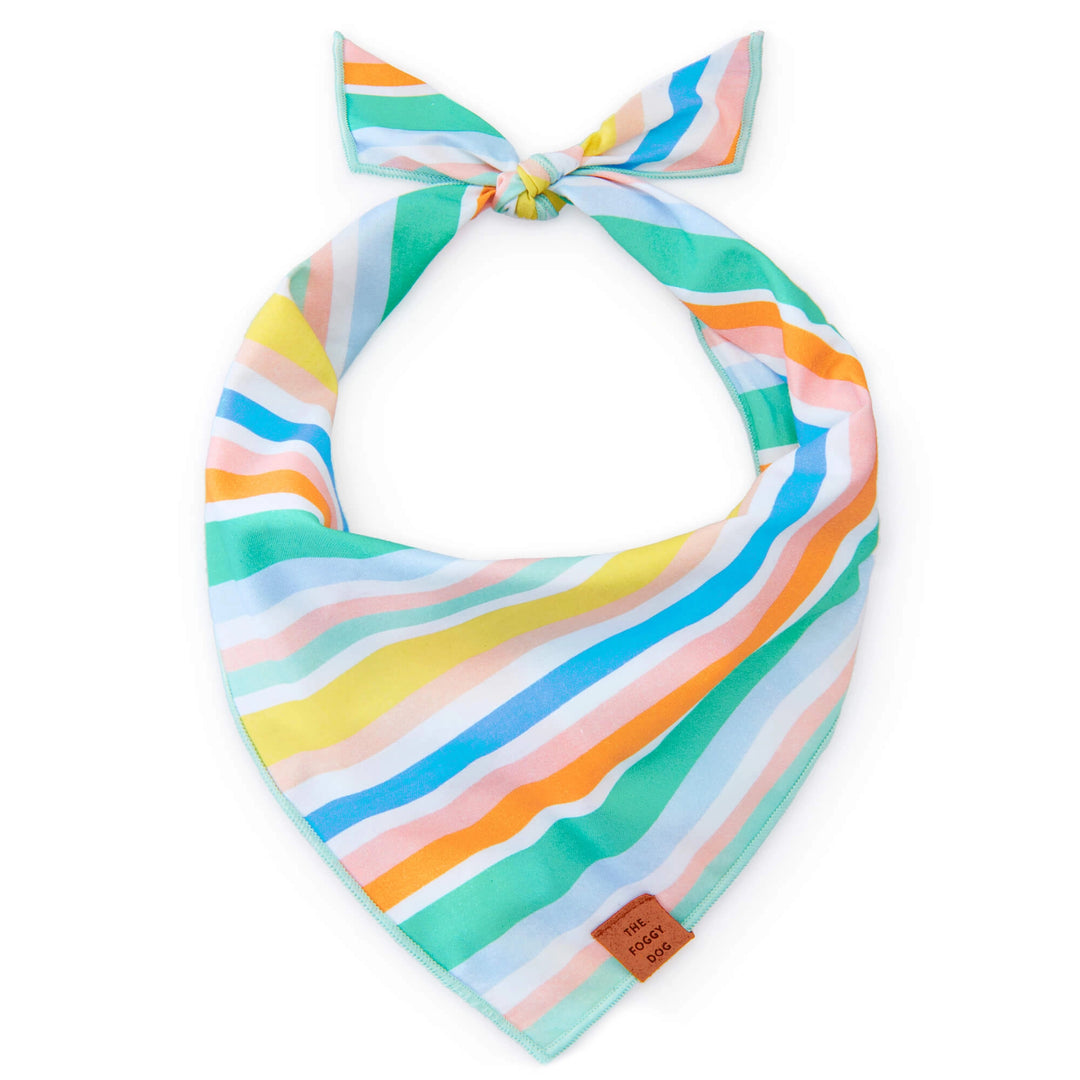 Foggy Dog Bandana